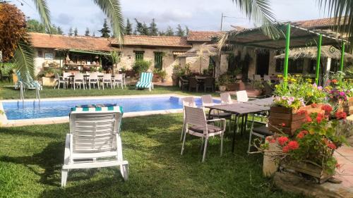 El Alia House | Le petit Olivier