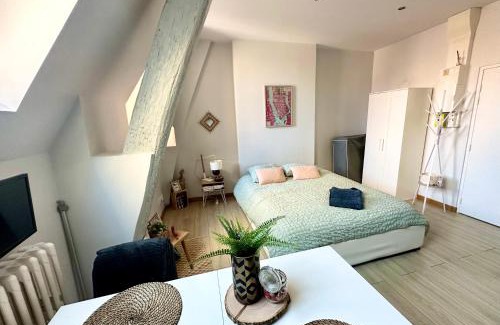 Centre Sud Apartment | Le petit POTE' studio Dijon hyper centre
