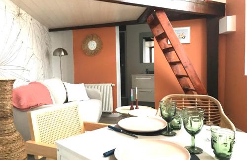 Vieux Vichy Apartment | LE PETIT PRESBYTERE - HyperCentre - Rez de Chaussée - Thermes