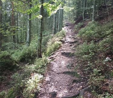 Wettolsheim Bed & Breakfast | Le Petit Prince et la Rose