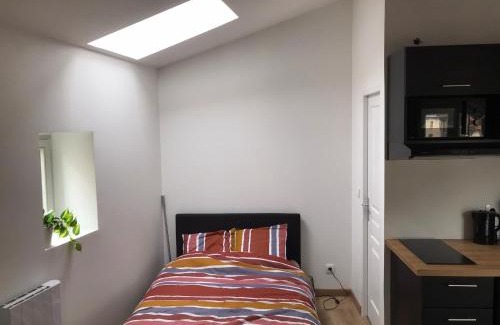 Royat Apartment | Le Petit Sault - Super Studio refait à neuf proche des commerces NaionalN3