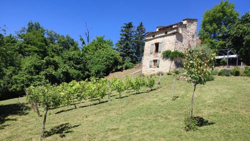 Caylus House | Le pigeonnier de felines