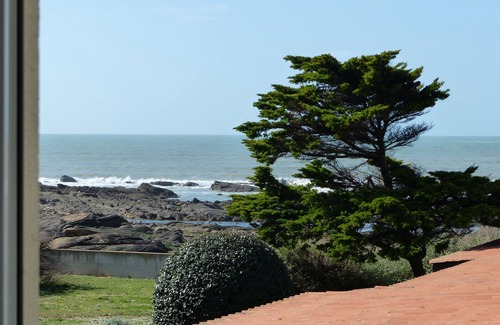 La Chaume Apartment | "Le Pin des Barges" confortable apartment with Ocean View