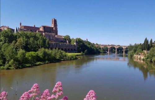 Albi Apartment | LE PORTA 9 N°2