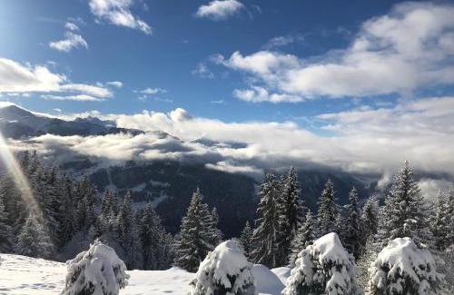 Nendaz House | Le Preyet