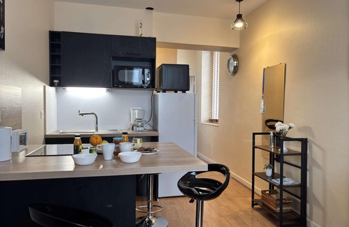 Chatel-Guyon Apartment | Le Puy de Dôme "202" ★1 bedroom ★Wifi