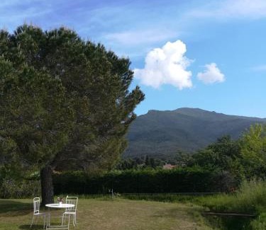 Laroque-des-Alberes Apartment | Le Quatorze