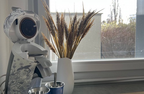 Blagnac Apartment | Le Quinze Sols : T3 familial