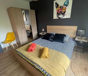 Quartier Saint-Leon Apartment | - Le refuge Colmarien - 5 personnes