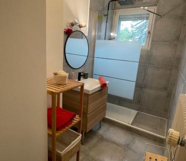 Quartier Saint-Leon Apartment | - Le refuge Colmarien - 5 personnes