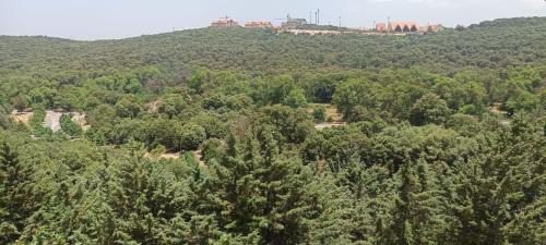 Ifrane Apartment | Le refuge de Vittel