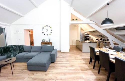 Chateauroux Apartment | Le Rousseau Haut standing Duplex Centre-ville