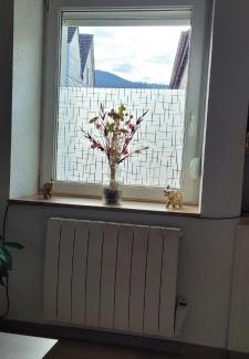 Saulxures-sur-Moselotte Apartment | Le ruisseau du Bâmont