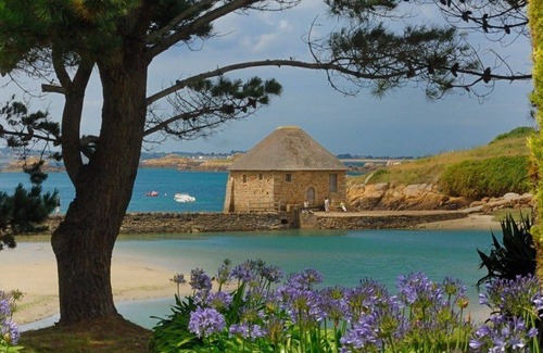 Hengoat Apartment | Le Rumain - Studio / Apartment 32 sqm - quiet location - near the sea