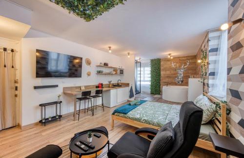 Saint-Roch - Badouillere - Chavanelle Apartment | Le scandinave SPA