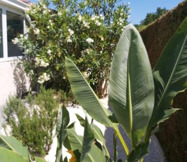 Angresse Bed & Breakfast | Le Soleil Couchant