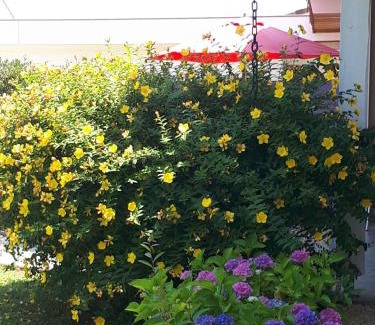 Angresse Bed & Breakfast | Le Soleil Couchant