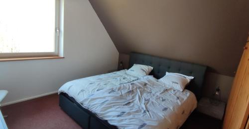 Illkirch-Graffenstaden Apartment | LE STRASBOURGEOIS