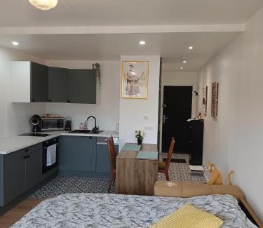 Nouvelle Ville Apartment | Le studio Amos