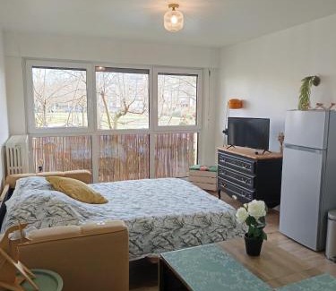 Nouvelle Ville Apartment | Le studio Amos
