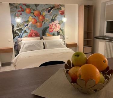 Neudorf Ouest Bed & Breakfast | Le Studio de Lisa