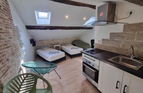Tournus Apartment | Le Studio du Docteur Privey - Free & secure Park Bike -3mn Autoroute
