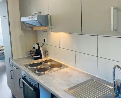 Guebwiller Apartment | le studio