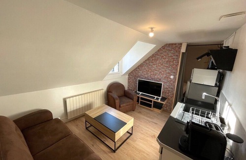 Romorantin-Lanthenay Apartment | Le Studio du square: Château et Beauval