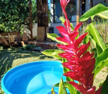 Mahina Apartment | Le Tahiti Bungalow Surf Lodge