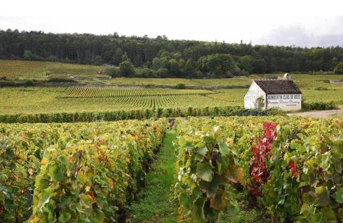 Corgengoux House | Le terroir des sens