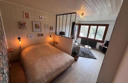 Bellegarde-sur-Valserine Apartment | Le Tropical - Vue sur les montagnes - 4 personnes