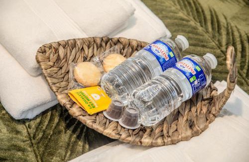 Dammartin-en-Goele Apartment | Le Tropicana proche aéroport CDG I Paris I Astérix