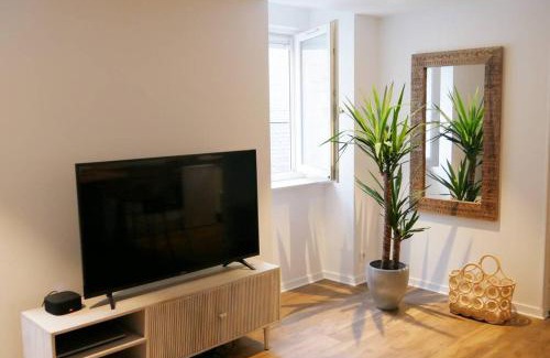 Auray Apartment | LE TROPICOCO - hyper centre d'Auray -