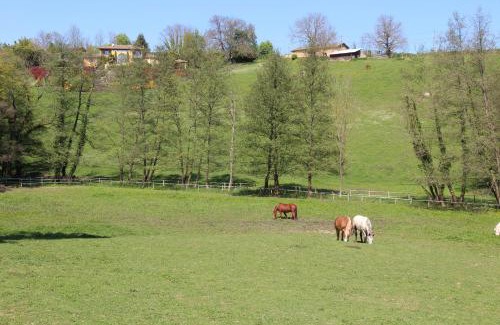 Limonest Bed & Breakfast | Le Vallon de Saint André