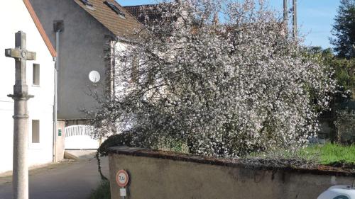 Chassey-le-Camp Apartment | Le Vendangeur