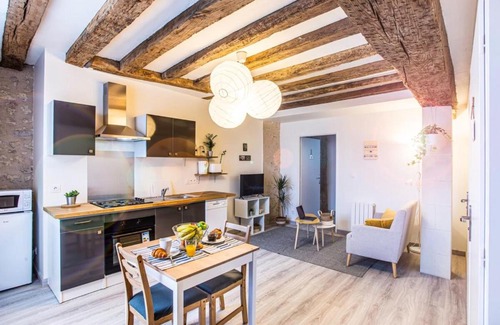 Amboise Apartment | "LE VINCI" Châteaux, Loire & Centre-ville