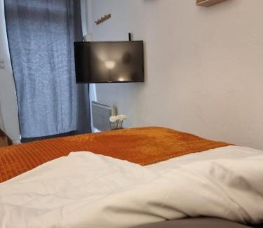 Romorantin-Lanthenay Apartment | Le Vivien