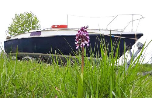 Saint-Bris-le-Vineux Boat Rental | Le voilier Toi & Moi