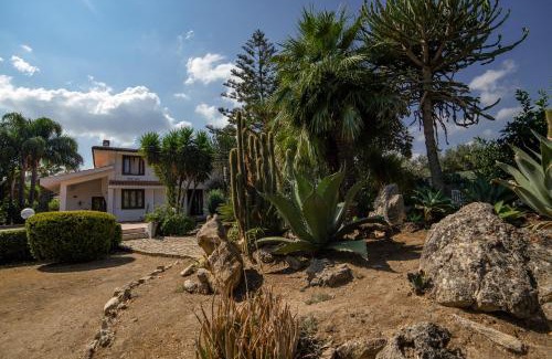 Partinico Bed & Breakfast | Le Yucche