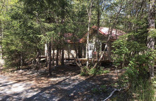 Bear Creek Cabin | Leafy & Enchanting Fern Cabin6 W/Queen Bed