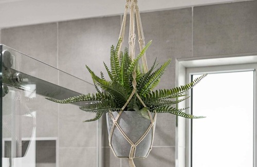 Wyoming House | Leafy Family Oasis - Wyoming, NSW