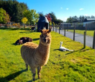 County Cork Other | Leahys Pod Park