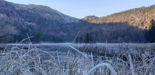 Lunz am See Apartment | Ledererhof Lunz am See