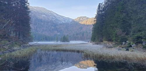 Lunz am See Apartment | Ledererhof Lunz am See