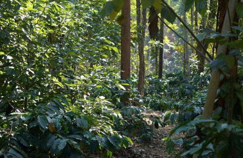 Madikeri House | Leela Farm Stay - Exclusive for Group Stay