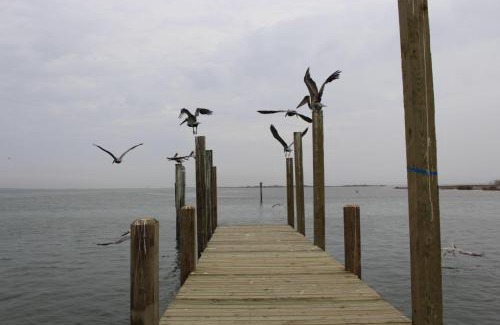 Corpus Christi Apartment | Leeward 9303