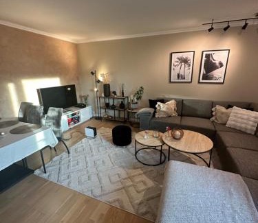 Trondheim Apartment | Leilighet leie