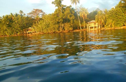 Kolombangara Island Resort | Leleana Resort Kolombangara