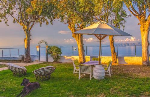 Kavos House | LeMaMi Seafront Bungalows