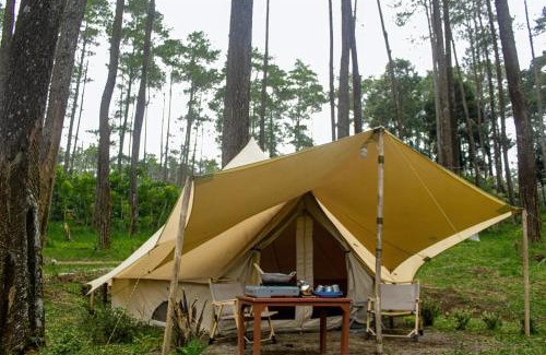 Cikole Other | Lembah Pinus Cikole